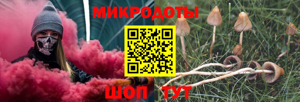 Псилоцибиновые грибы прущие грибы  Вход с VPN  Вятские Поляны 