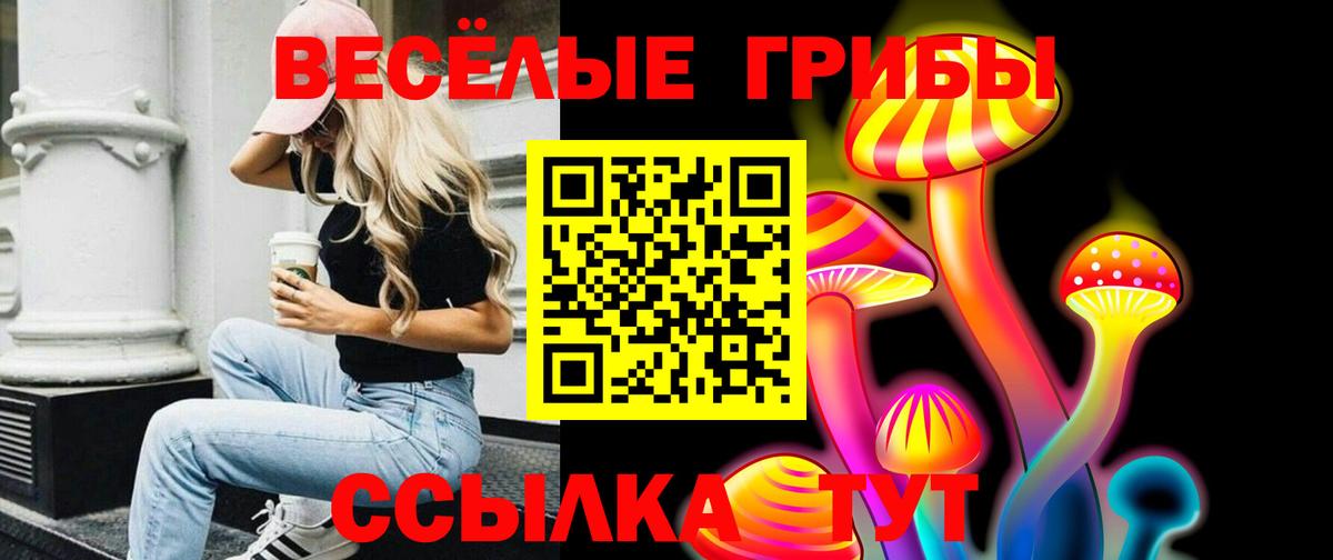 Псилоцибиновые грибы мицелий Вятские Поляны